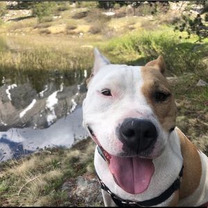 Meet your Posher, Andie